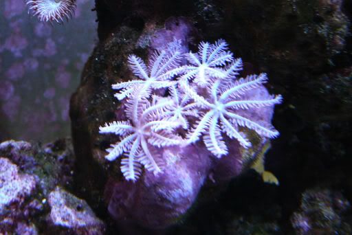170-WavingHand208-11.jpg