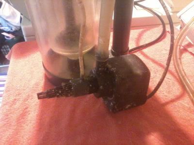 190-NewSkimmer2.jpg