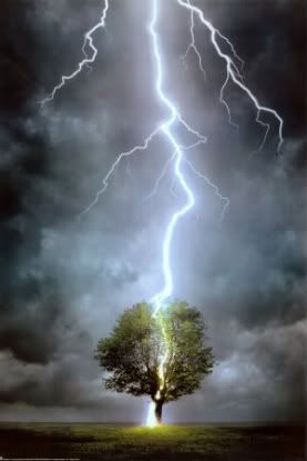 Lightning Striking Tree