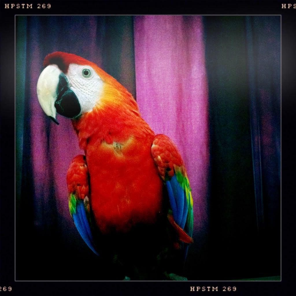 Photobucket