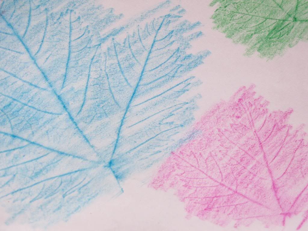 Maple Leaf Imprint