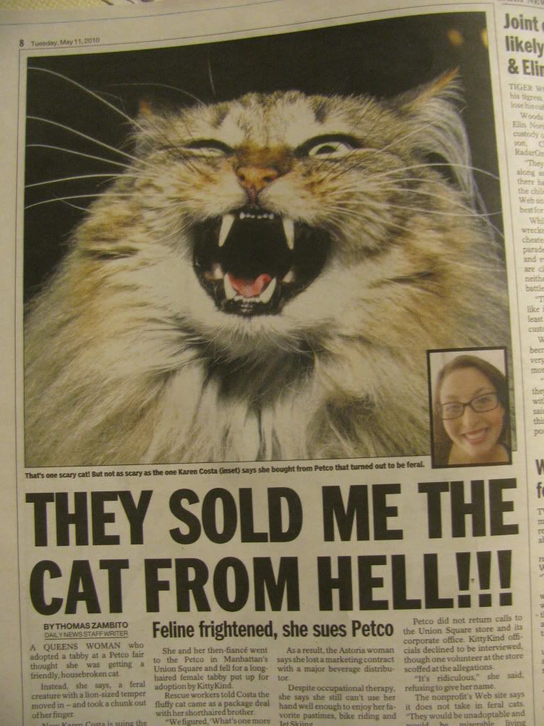 my favorite headline so far this week