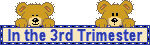 3rdTri.gif 3rd Trimester Blue image by october2009