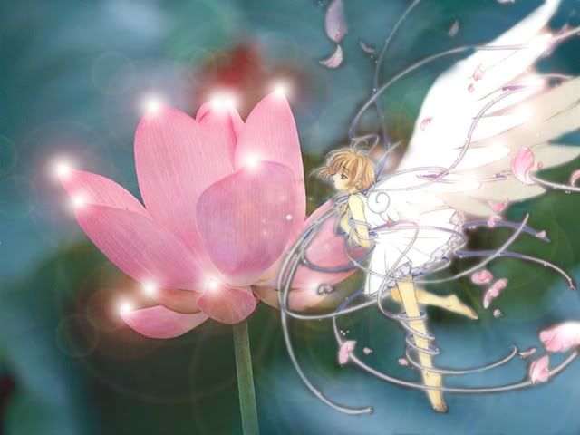 sakura wallpapers. Cardcaptors Sakura Wallpapers