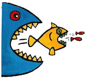 http://i599.photobucket.com/albums/tt77/Chumly_01/fish-eat-fish.jpg