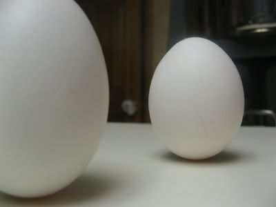 Balanced Eggs on Spring Equinox