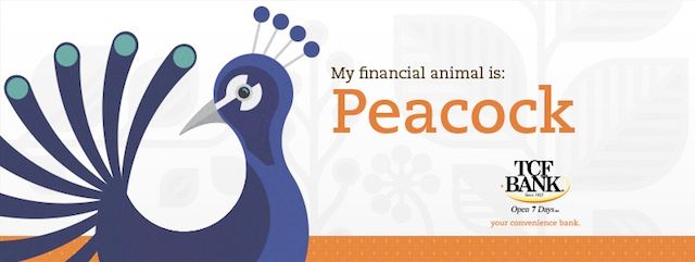 What financial animal are you?