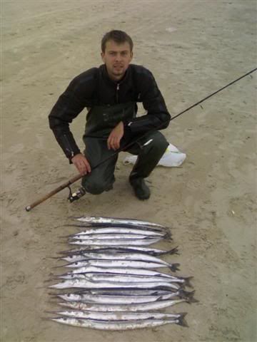 Paveikslėlis
