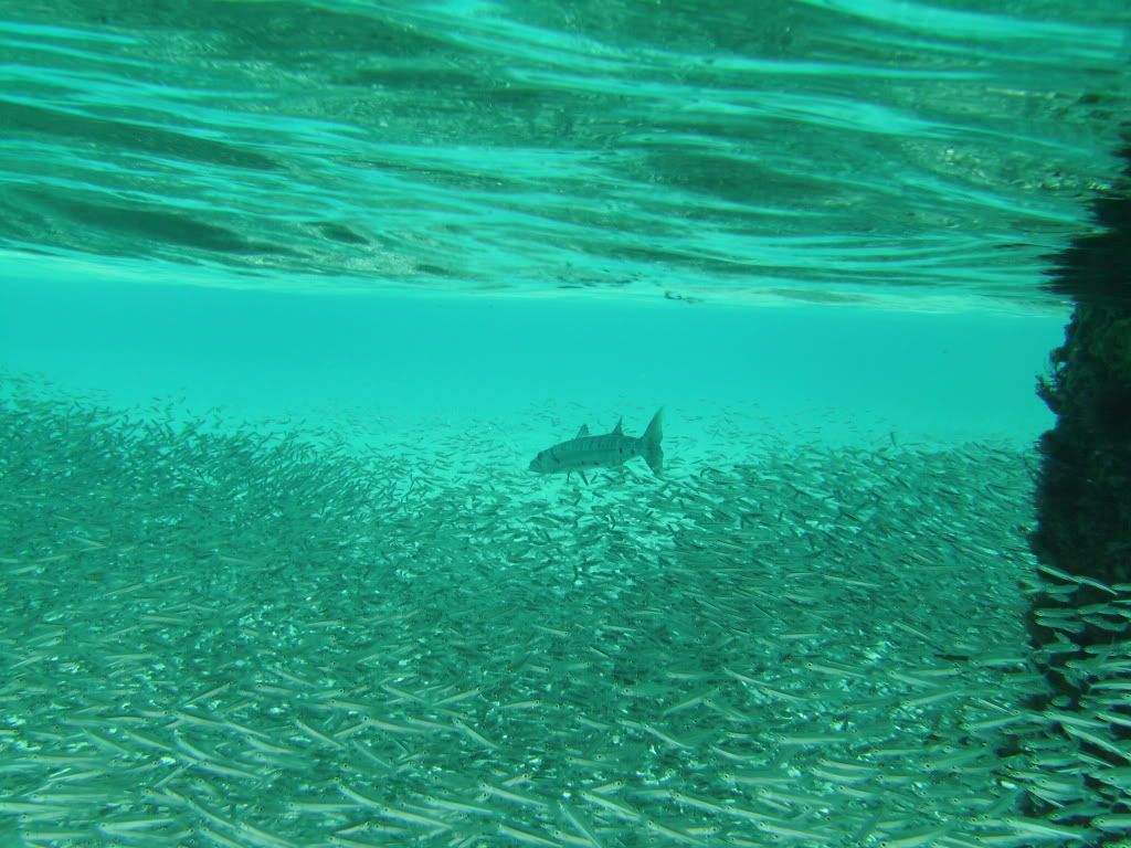 Cozumel06142009039.jpg