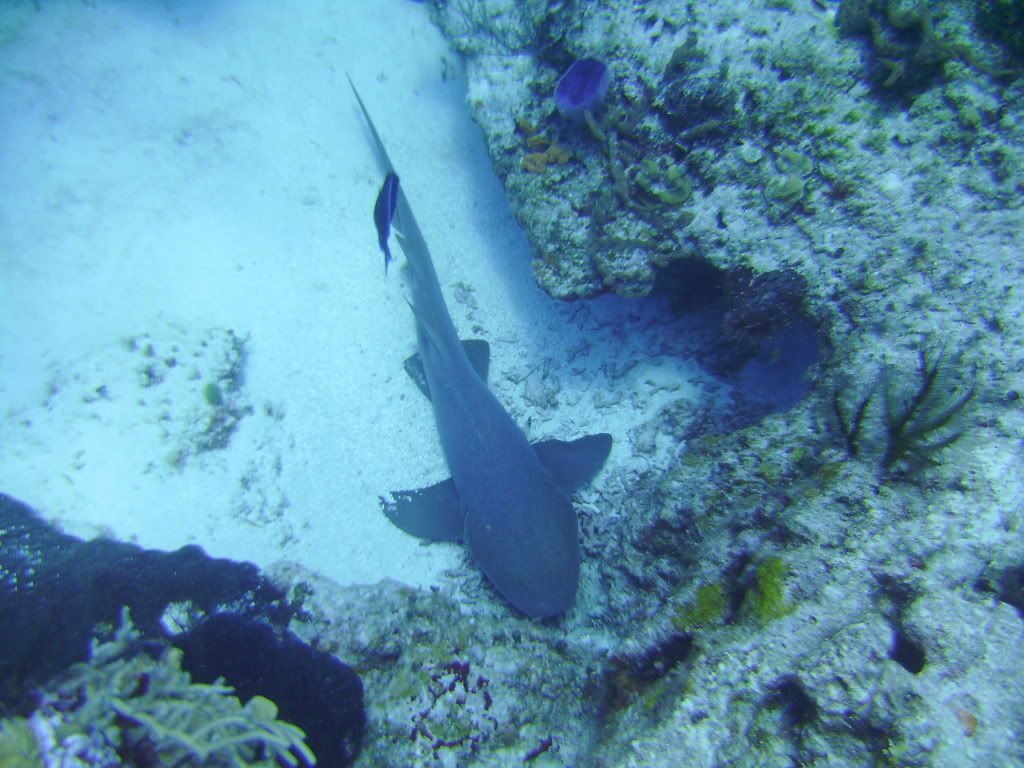 Cozumel06142009072.jpg