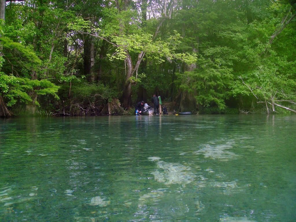 cypressspring2010001.jpg
