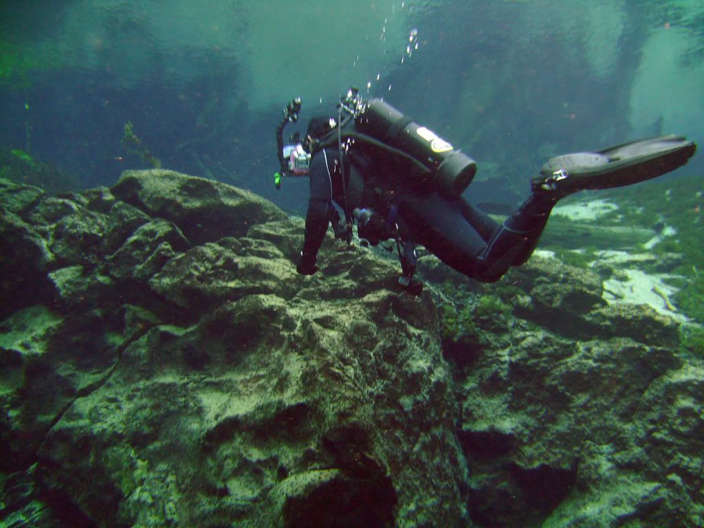 cypressspring2010012.jpg