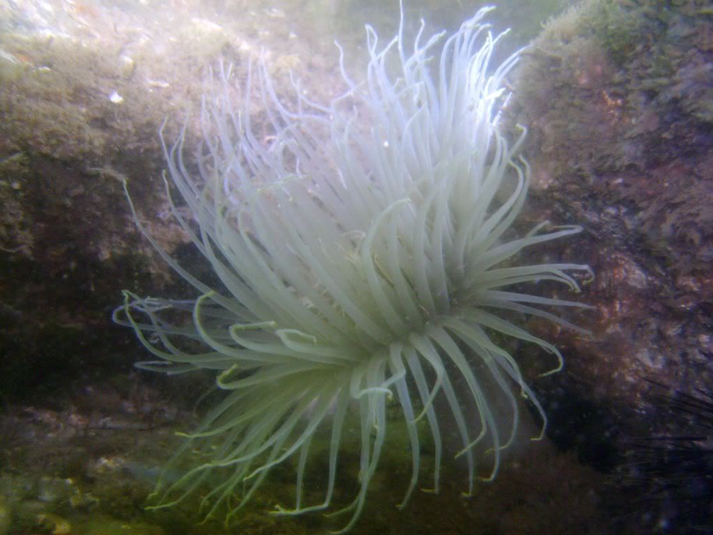 FtPickens04032010006.jpg