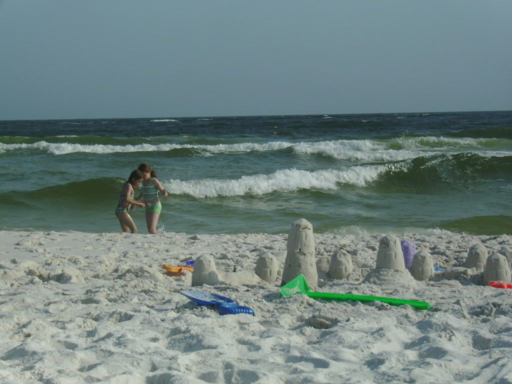 FtPickens04032010024.jpg