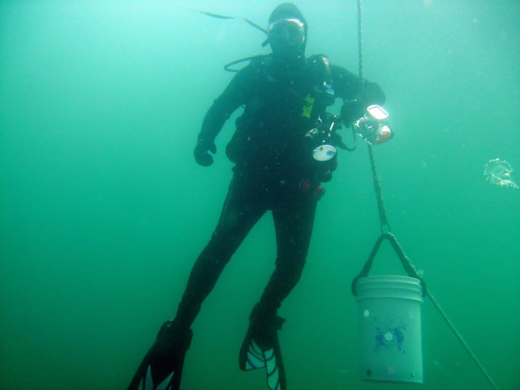 Spingfest2010004.jpg