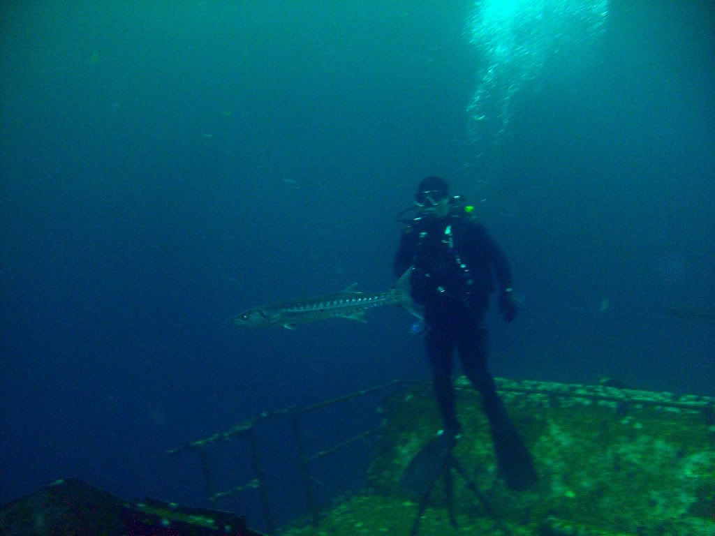 Spingfest2010035.jpg