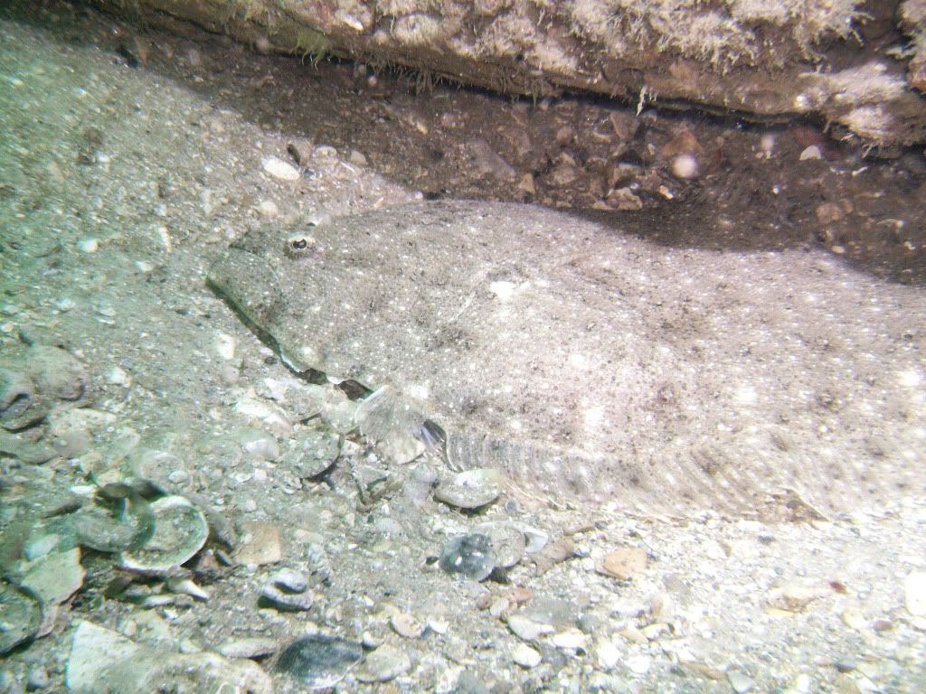 Pensacola_11_28_2009004.jpg