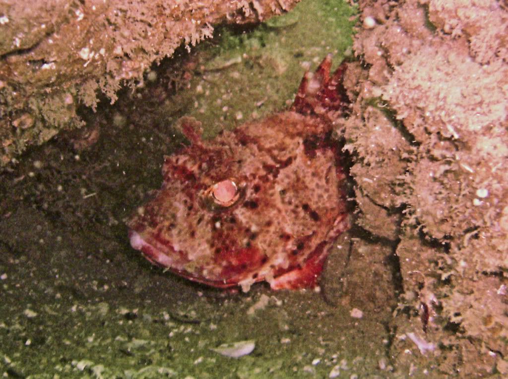 Pensacola_11_28_2009009.jpg