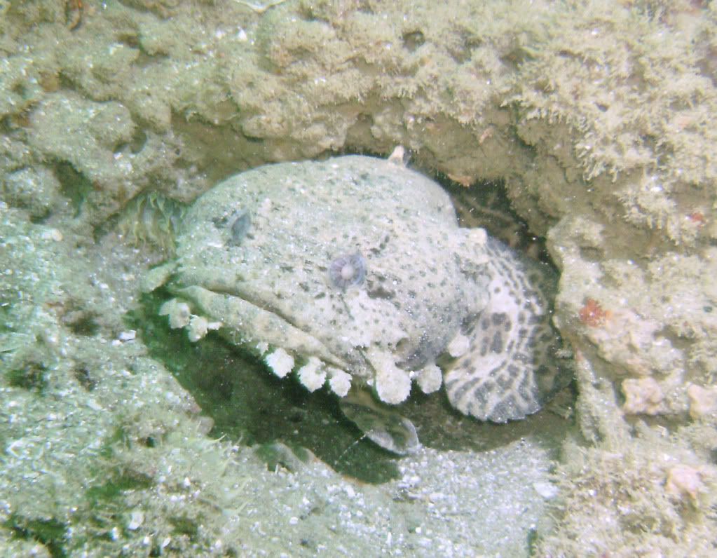 Pensacola_11_28_2009012.jpg