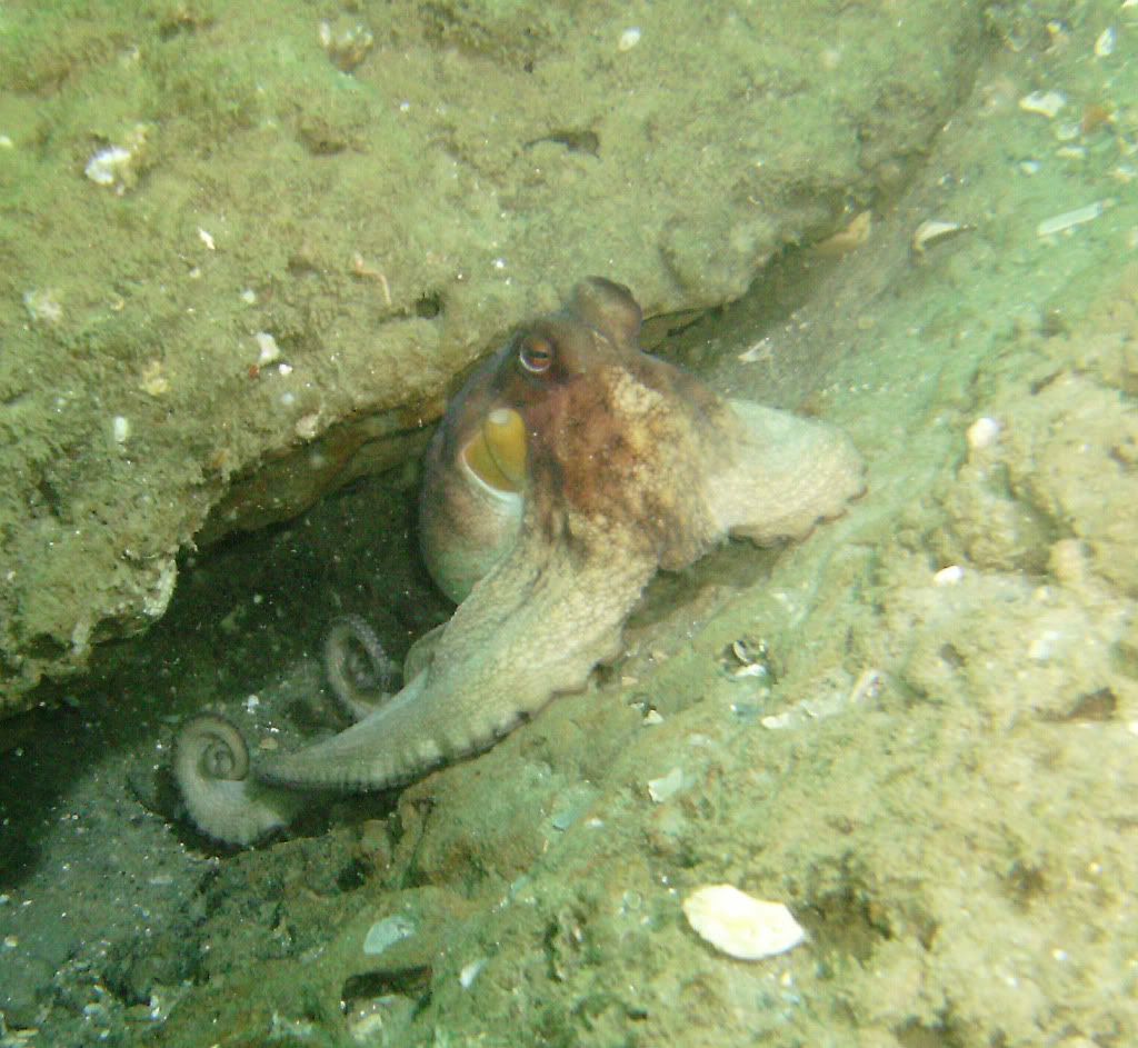 Pensacola_11_28_2009033.jpg