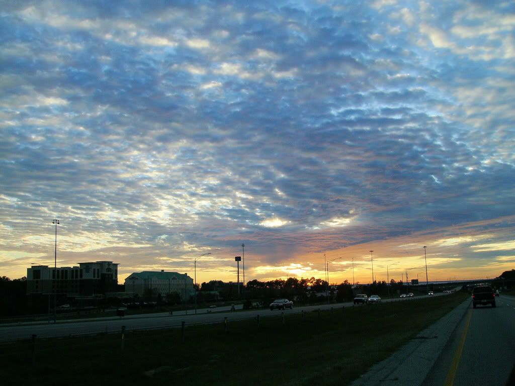 Pensacola_11_28_2009048.jpg