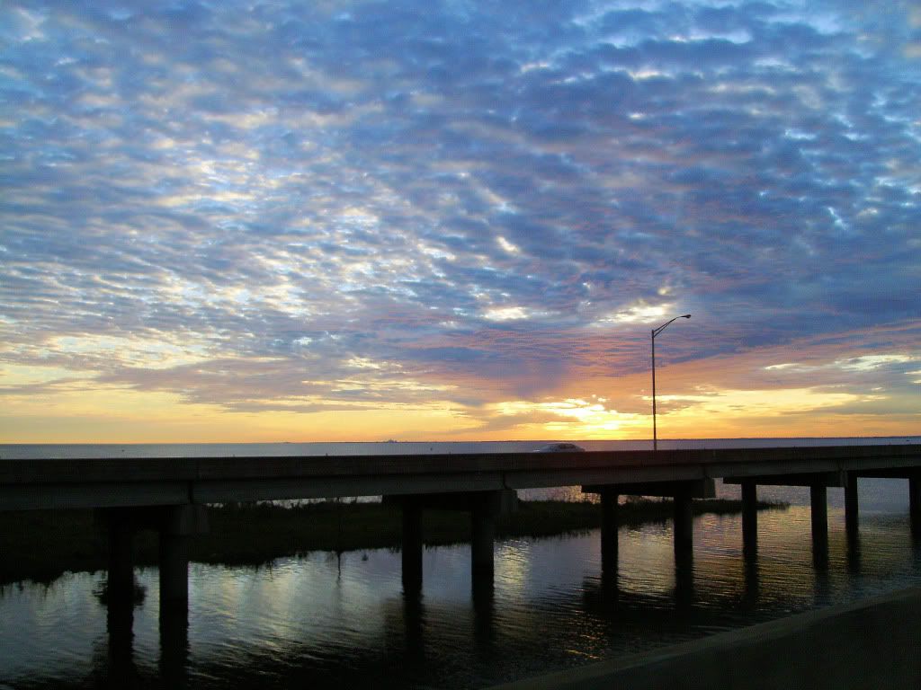 Pensacola_11_28_2009050.jpg