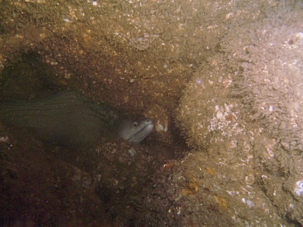 PerdidoPass_11_07_2009020.jpg