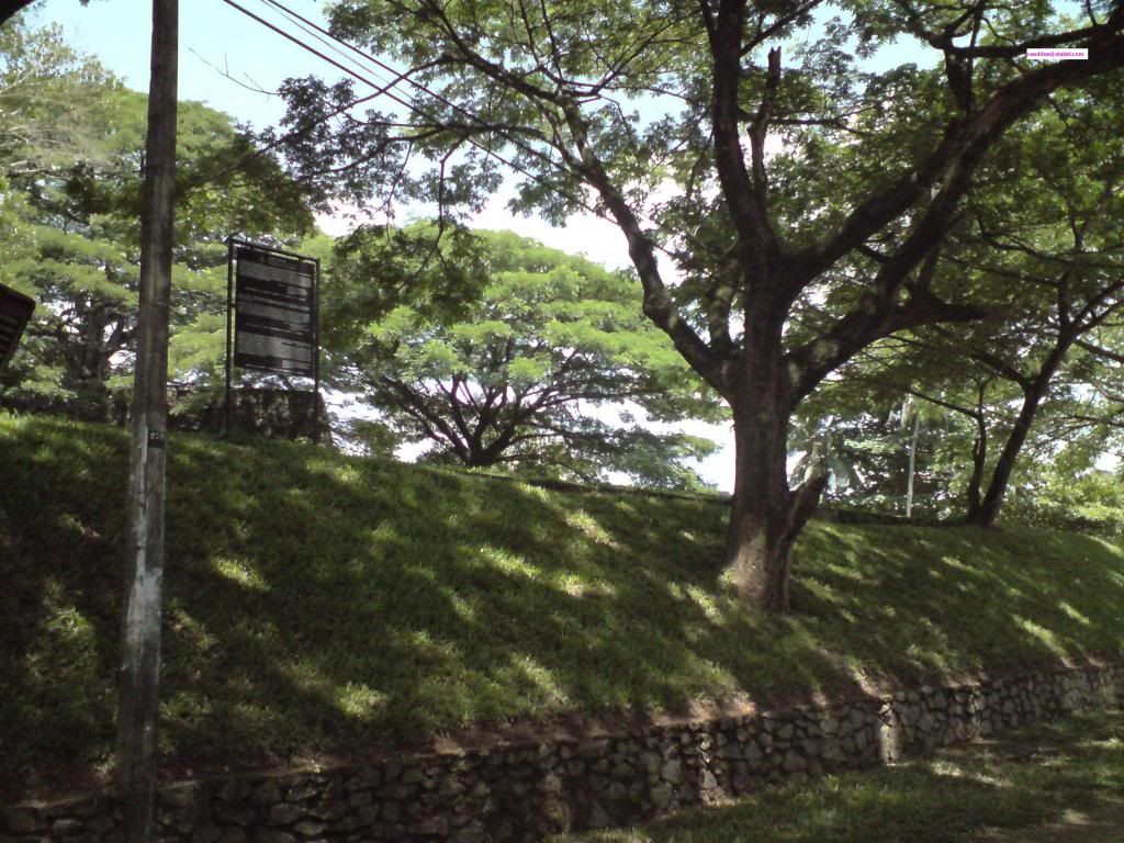 DSC01370.jpg