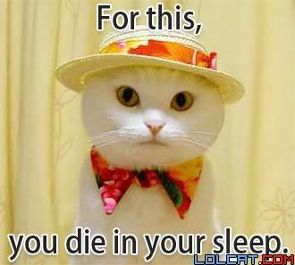 dieinyoursleepkitty.jpg