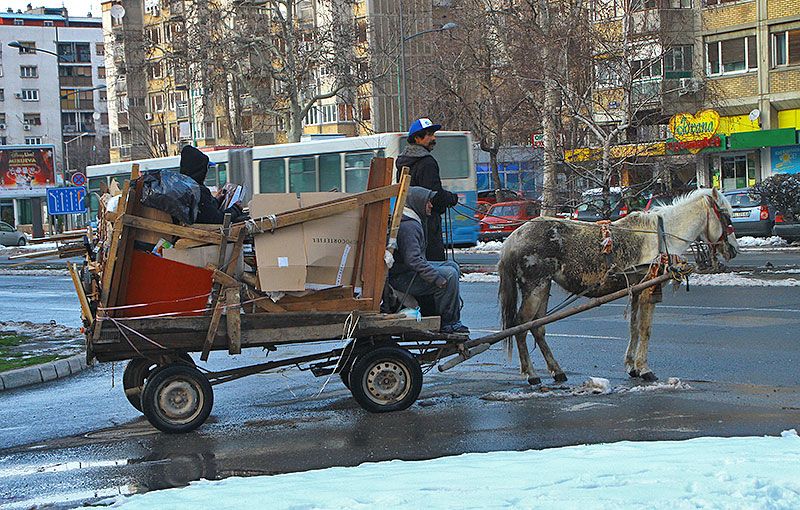 Сербія 2013 Нові сад