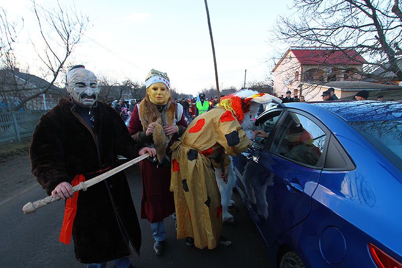маланка в Горбовій 2012