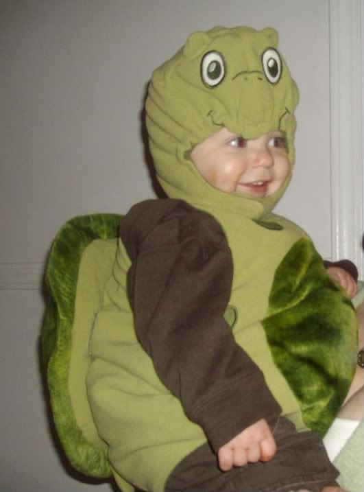 The turtle costume from Children's Place