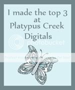 Platypus Creek Digitals