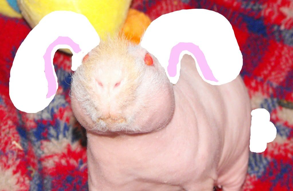 EasterIvan.jpg