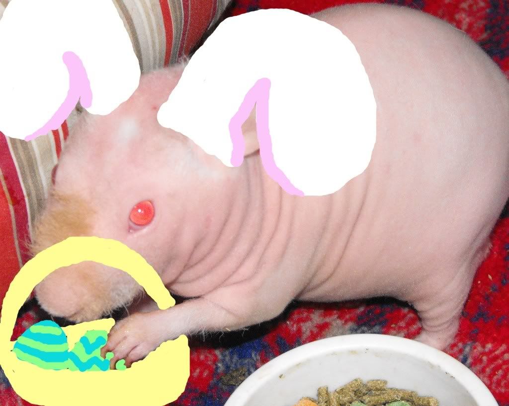 HappyWheester2509.jpg