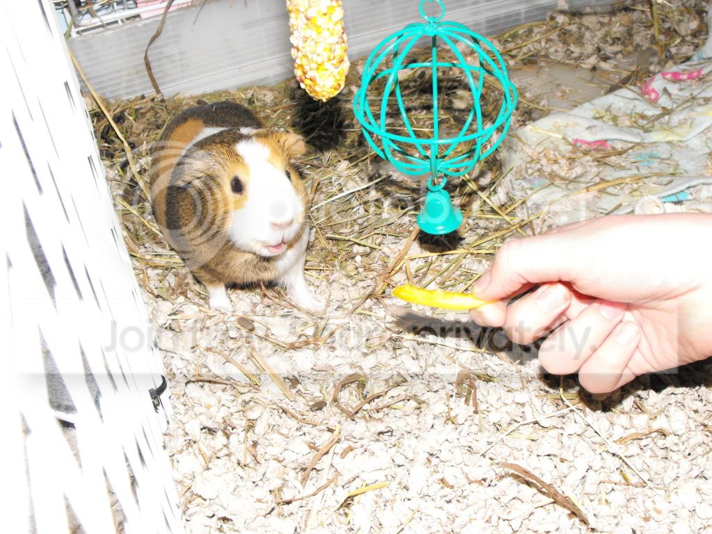 IvanAndCookie001.jpg