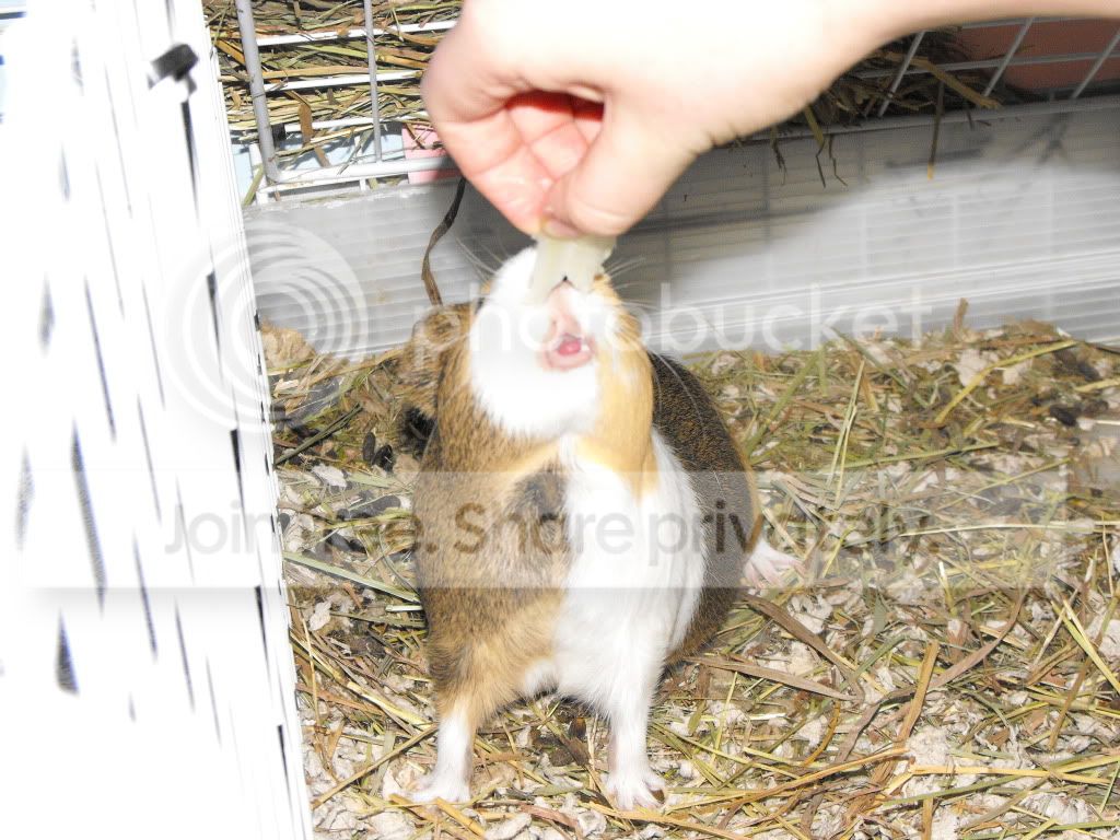 IvanAndCookie004.jpg