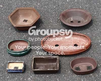 How-To-Find-Inexpensive-Bonsai-Pots.jpg