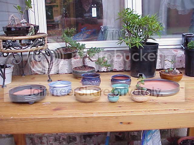 manypots.jpg